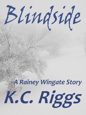 cover image of Blindside; a Rainey Wingate Story